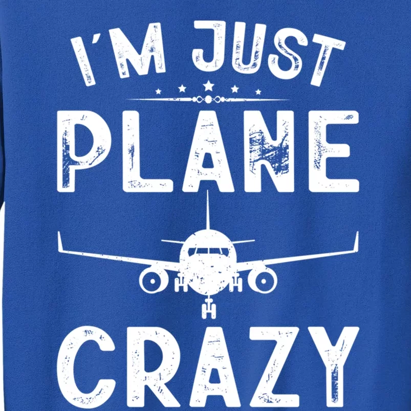 IM Just Plane Crazy Airplanes Lover Aviation Funny Gift Sweatshirt