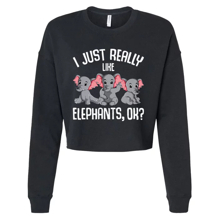 I Just Really Like Elephants Elephant Lover Cropped Pullover Crew