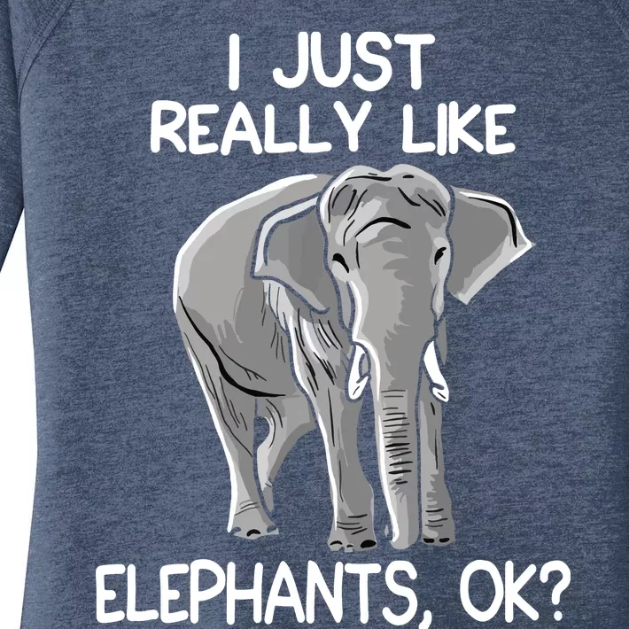 I Just Really Like Elephants Funny Elephant Lover Quote Women's Perfect Tri Tunic Long Sleeve Shirt