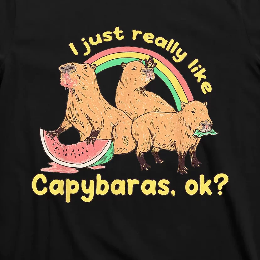 I Just Really Like Capybaras Ok Capybara Lover Funny T-Shirt