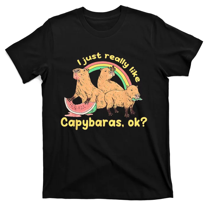 I Just Really Like Capybaras Ok Capybara Lover Funny T-Shirt