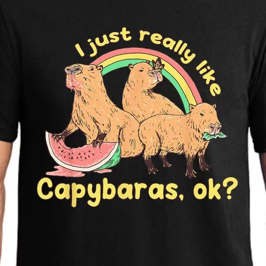 I Just Really Like Capybaras Ok Capybara Lover Funny Pajama Set