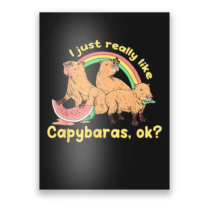 I Just Really Like Capybaras Ok Capybara Lover Funny Poster