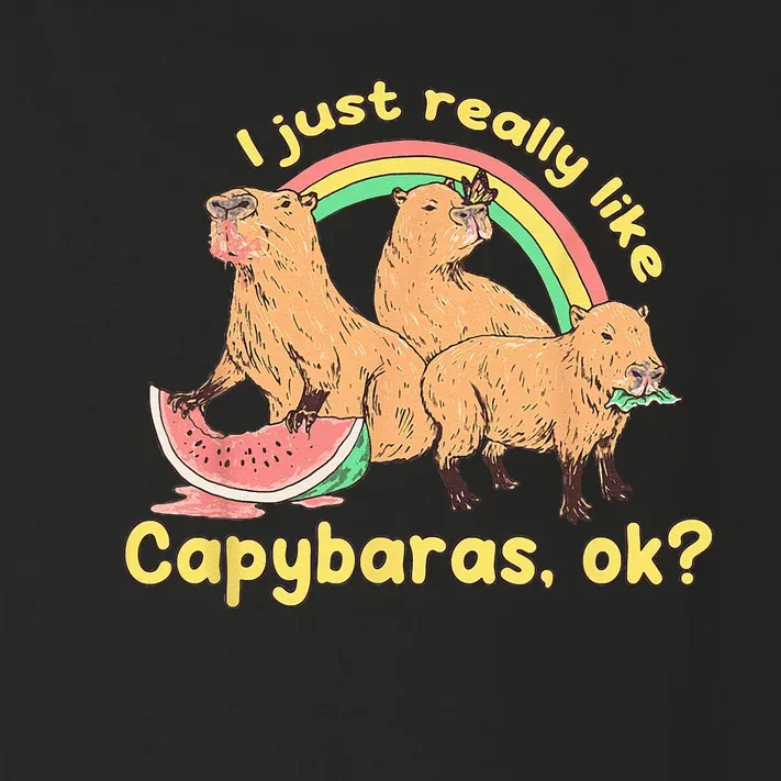 I Just Really Like Capybaras Ok Capybara Lover Funny Toddler Long Sleeve Shirt