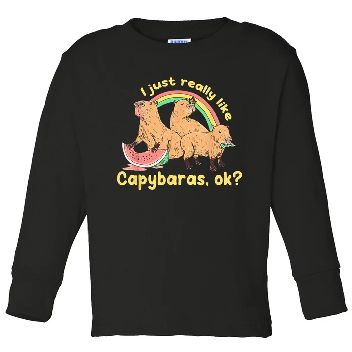 I Just Really Like Capybaras Ok Capybara Lover Funny Toddler Long Sleeve Shirt