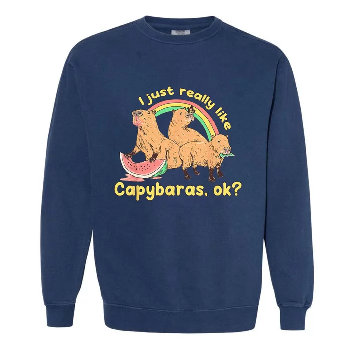 I Just Really Like Capybaras Ok Capybara Lover Funny Garment-Dyed Sweatshirt