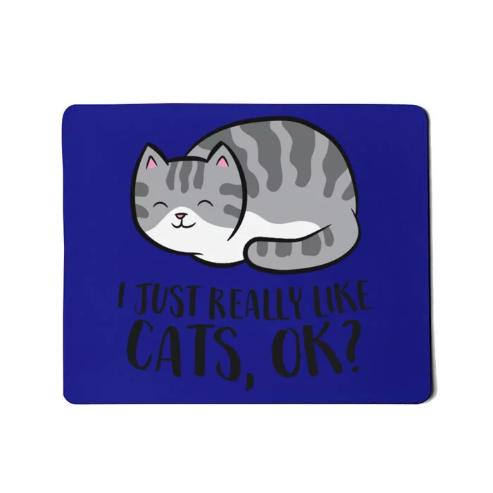 I Just Really Like Cats Ok? Funny Cat Gift Mousepad