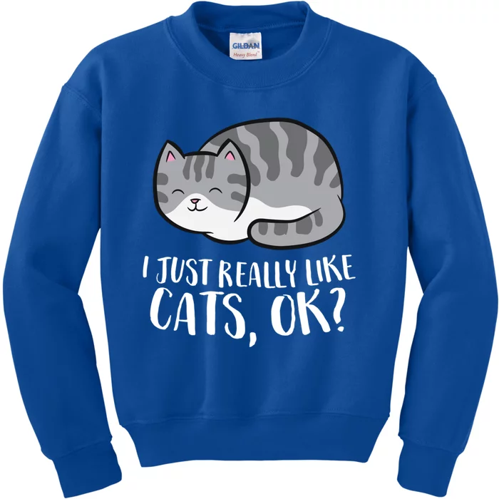 I Just Really Like Cats Gift Kids Sweatshirt