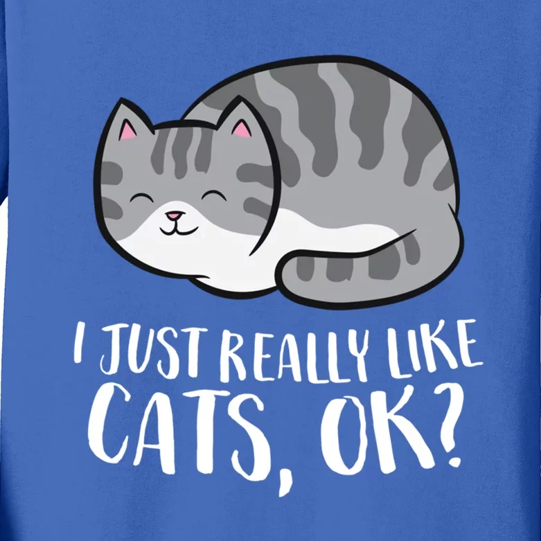 I Just Really Like Cats Gift Kids Long Sleeve Shirt