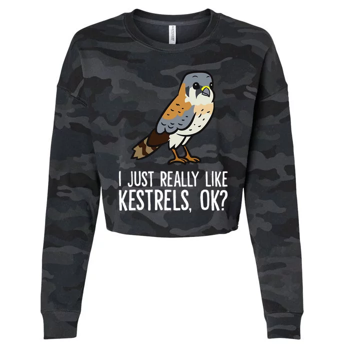 I Just Really Like Kestrels Ok Cute Kestrel Bird Cropped Pullover Crew