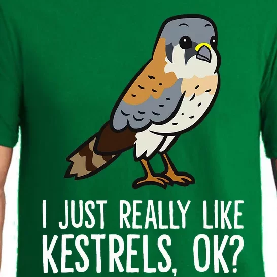 I Just Really Like Kestrels Ok Cute Kestrel Bird Pajama Set