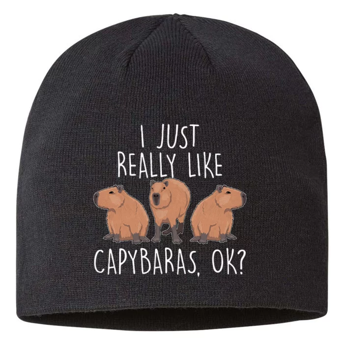 I Just Really Like Capybaras Ok – Rodent Pet Owner Carpincho 8 1/2in Sustainable Knit Beanie