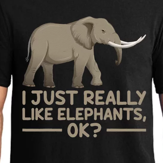 I Just Really Like Elephants Ok Funny Elephant Pajama Set