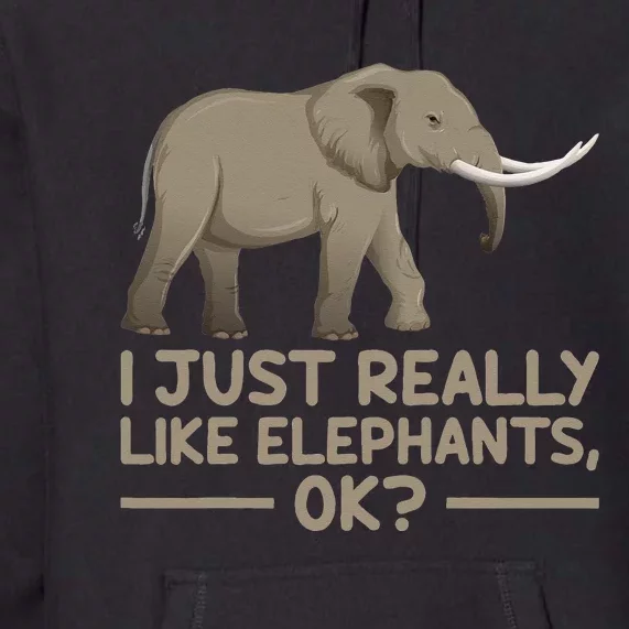 I Just Really Like Elephants Ok Funny Elephant Premium Hoodie