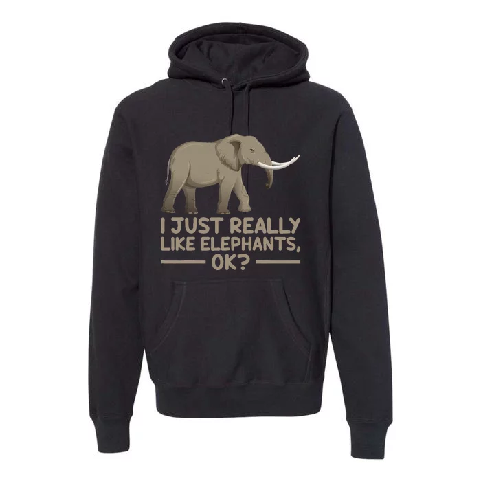 I Just Really Like Elephants Ok Funny Elephant Premium Hoodie