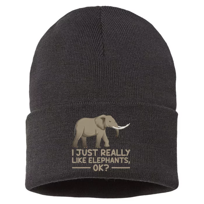 I Just Really Like Elephants Ok Funny Elephant Sustainable Knit Beanie