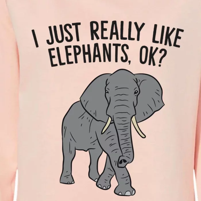 I Just Really Like Elephants Ok? Love Elephants Funny Gift Womens California Wash Sweatshirt