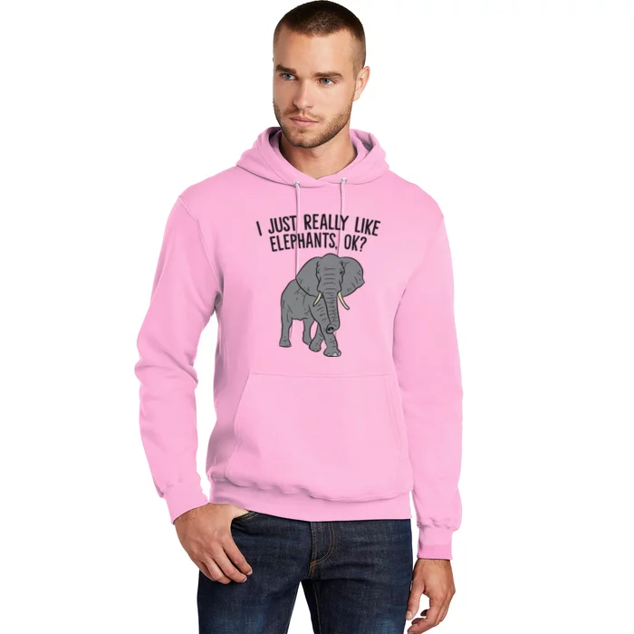 I Just Really Like Elephants Ok? Love Elephants Funny Gift Hoodie