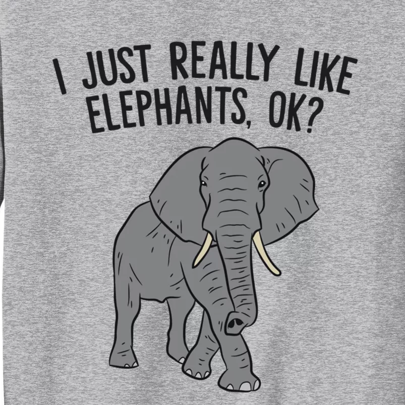 I Just Really Like Elephants Ok? Love Elephants Funny Gift Tall Sweatshirt