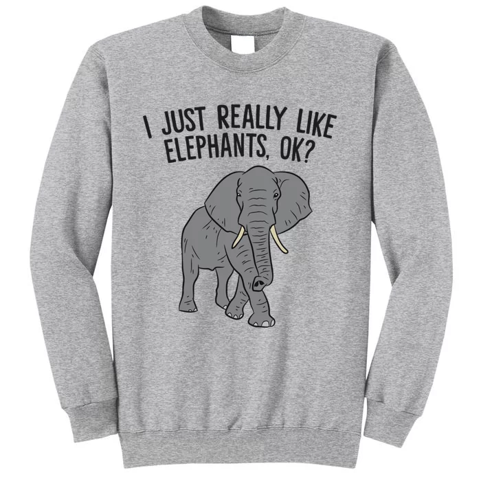 I Just Really Like Elephants Ok? Love Elephants Funny Gift Tall Sweatshirt