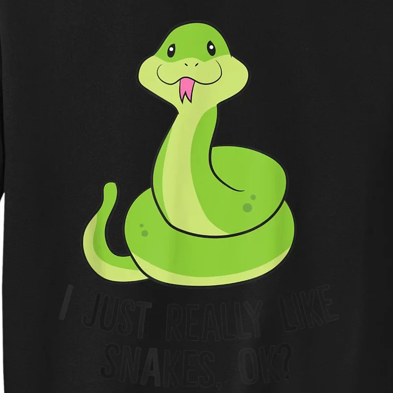 I Just Really Like Snakes Ok Cute Snake Reptile Lover Sweatshirt