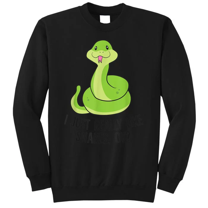 I Just Really Like Snakes Ok Cute Snake Reptile Lover Sweatshirt