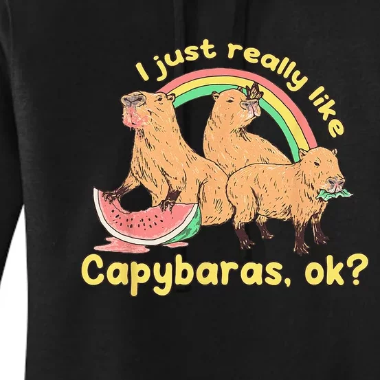 I Just Really Like Capybaras Ok Capybara Lover Funny Women's Pullover Hoodie