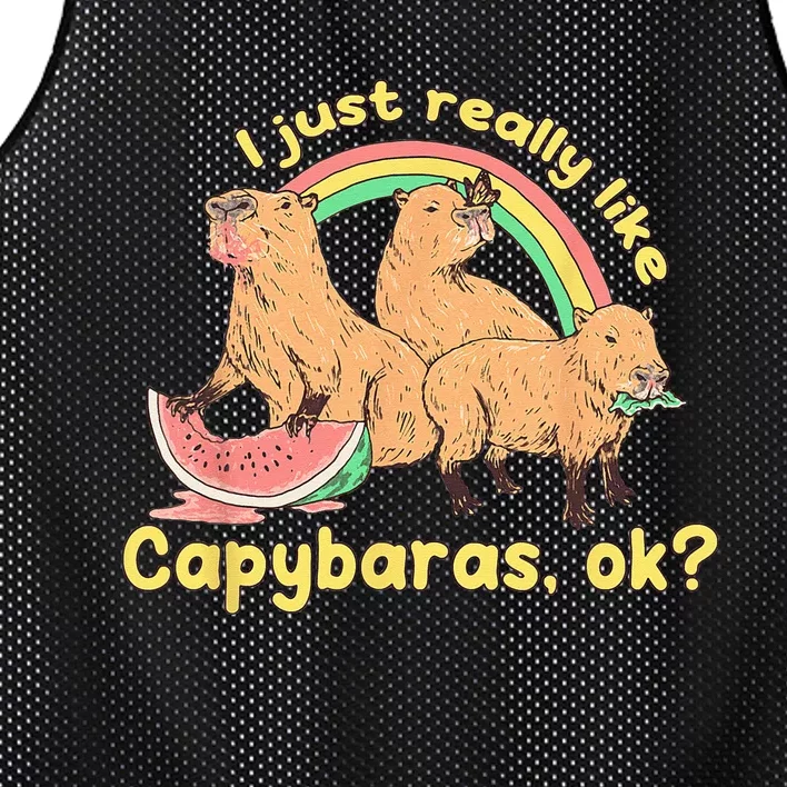 I Just Really Like Capybaras Ok Capybara Lover Funny Mesh Reversible Basketball Jersey Tank