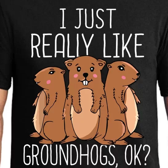 I Just Really Like Groundhogs Groundhog Day Pajama Set