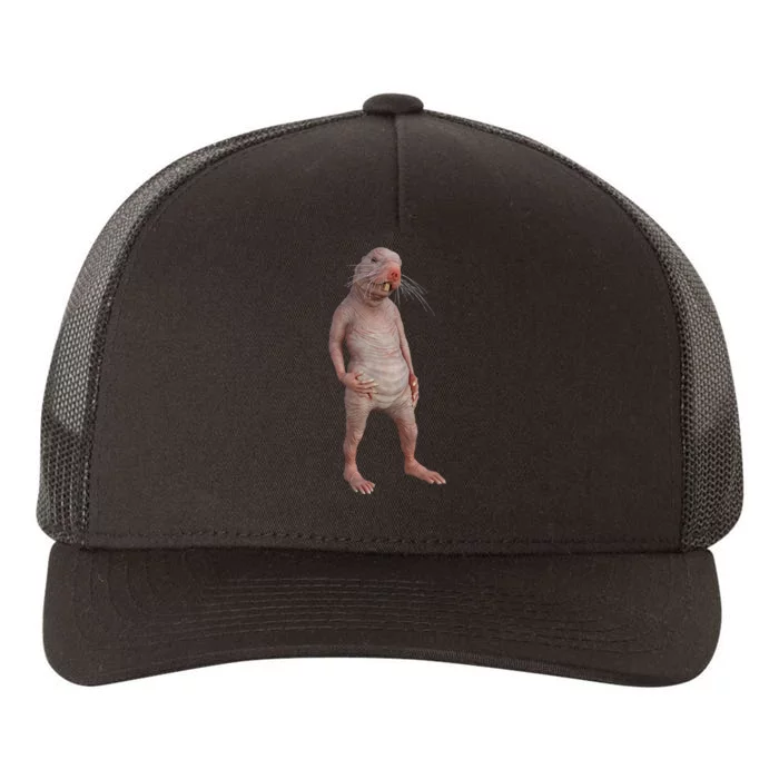 I Just Really Like Naked Moles Ok Funny Naked Mole Rat Yupoong Adult 5-Panel Trucker Hat