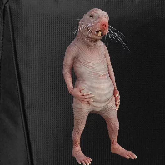 I Just Really Like Naked Moles Ok Funny Naked Mole Rat City Backpack