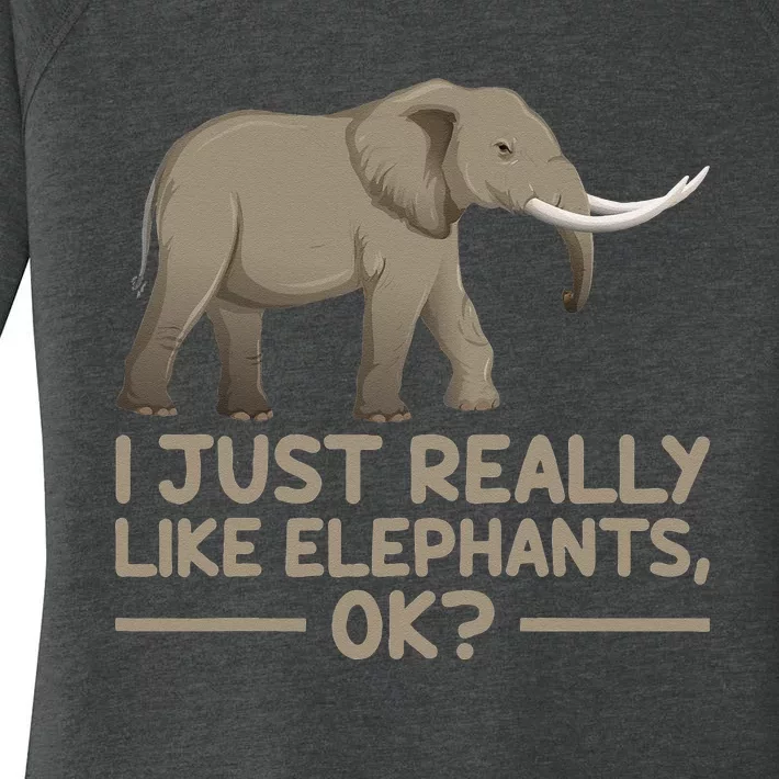 I Just Really Like Elephants Ok Funny Elephant Women's Perfect Tri Tunic Long Sleeve Shirt