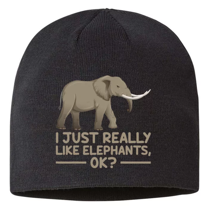 I Just Really Like Elephants Ok Funny Elephant 8 1/2in Sustainable Knit Beanie