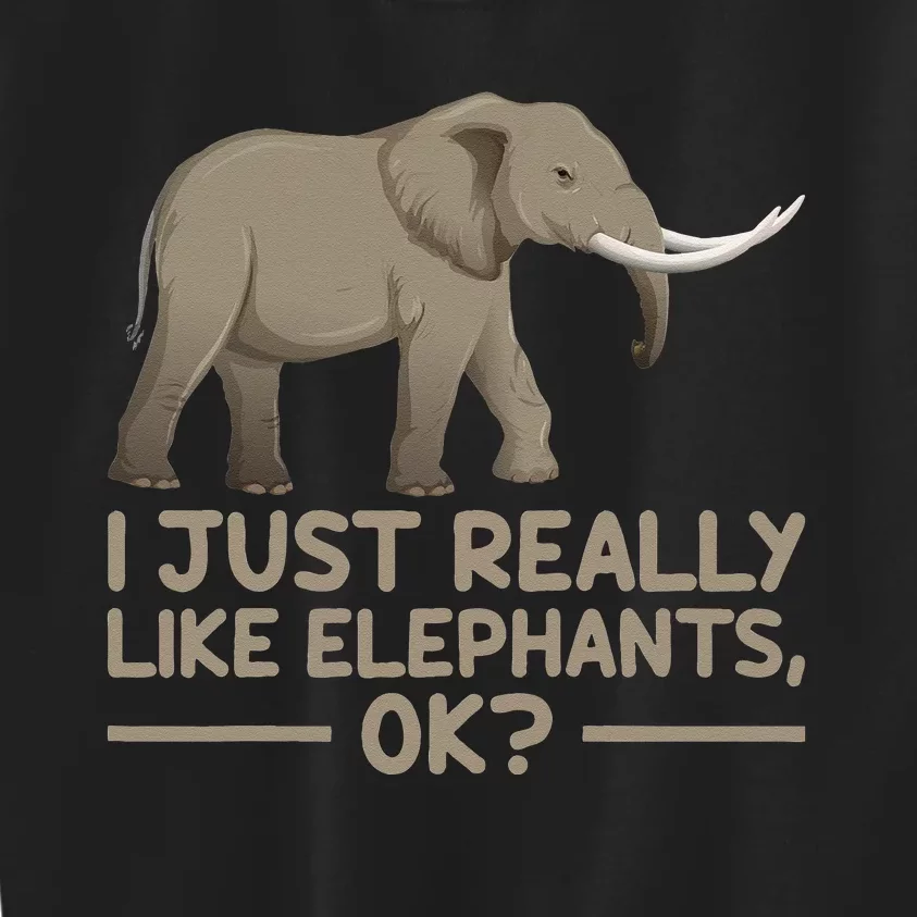 I Just Really Like Elephants Ok Funny Elephant Kids Sweatshirt