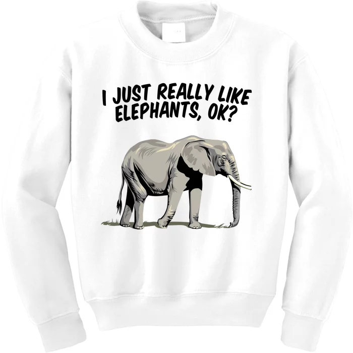 I Just Really Like Elephants Ok Love Elephants Meaningful Gift Kids Sweatshirt