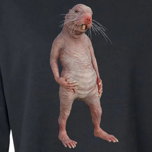 I Just Really Like Naked Moles Ok Funny Naked Mole Rat Cropped Pullover Crew