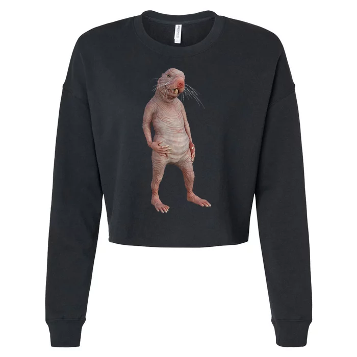 I Just Really Like Naked Moles Ok Funny Naked Mole Rat Cropped Pullover Crew