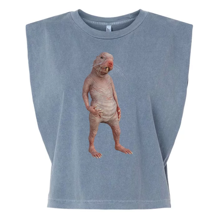 I Just Really Like Naked Moles Ok Funny Naked Mole Rat Garment-Dyed Women's Muscle Tee