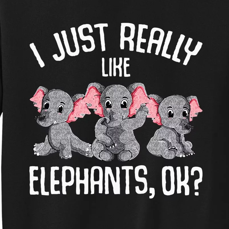 I Just Really Like Elephants Kids Girls Elephant Lover Tall Sweatshirt