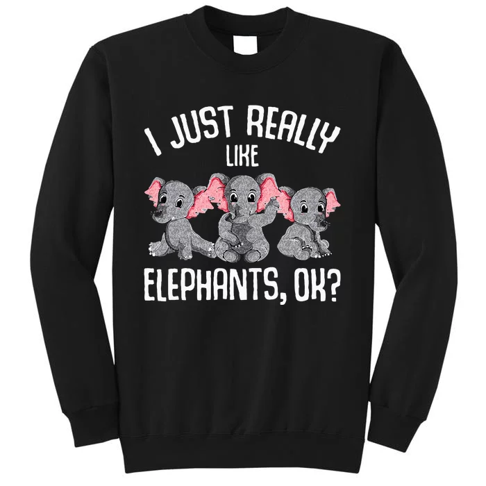 I Just Really Like Elephants Kids Girls Elephant Lover Tall Sweatshirt