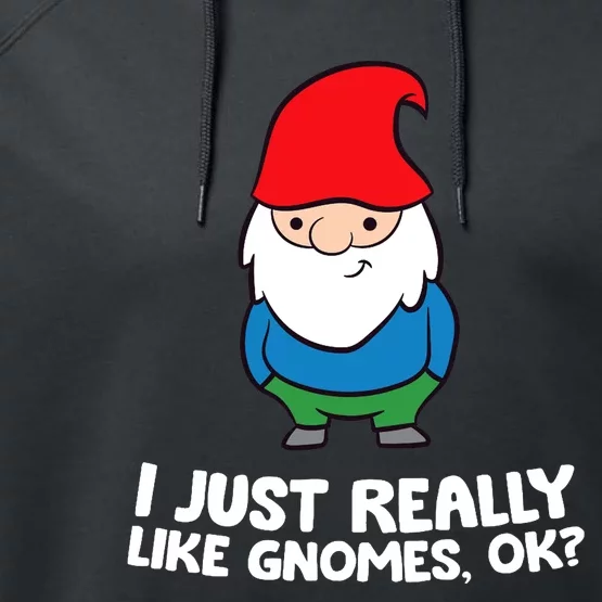 I Just Really Like Gnomes, Ok? Garden Gnome Premium Performance Fleece Hoodie