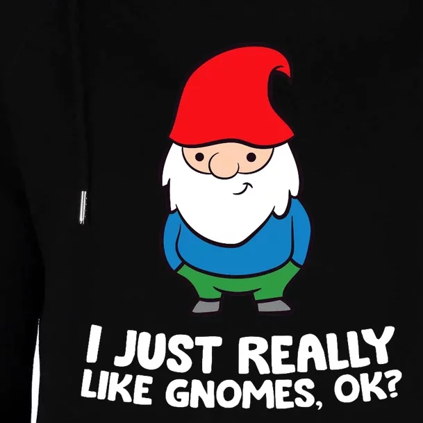 I Just Really Like Gnomes, Ok? Garden Gnome Premium Womens Funnel Neck Pullover Hood