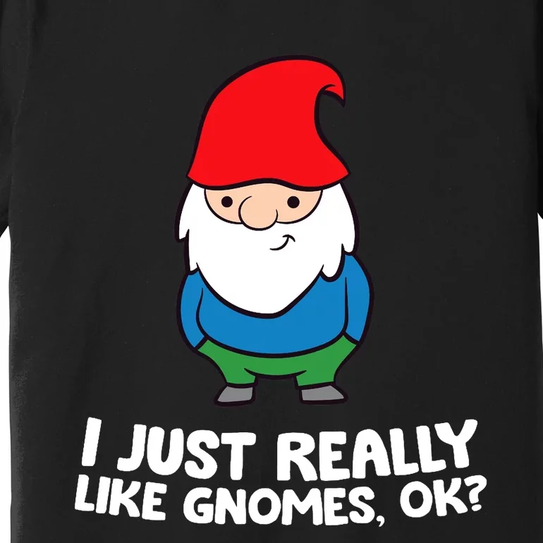 I Just Really Like Gnomes, Ok? Garden Gnome Premium Premium T-Shirt