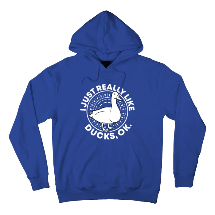 I Just Really Like Ducks Funny Vintage Duck Gift Hoodie