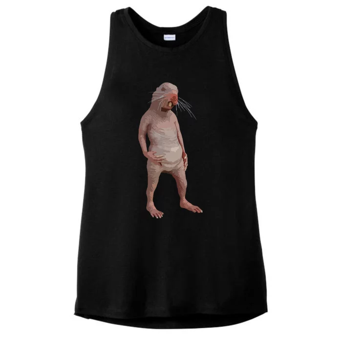 I Just Really Like Naked Moles Ok Funny Naked Mole Rat Ladies Tri-Blend Wicking Tank