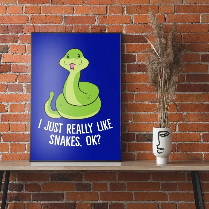 I Just Really Like Snakes Ok Funny Snake Reptile Python Funny Gift Poster