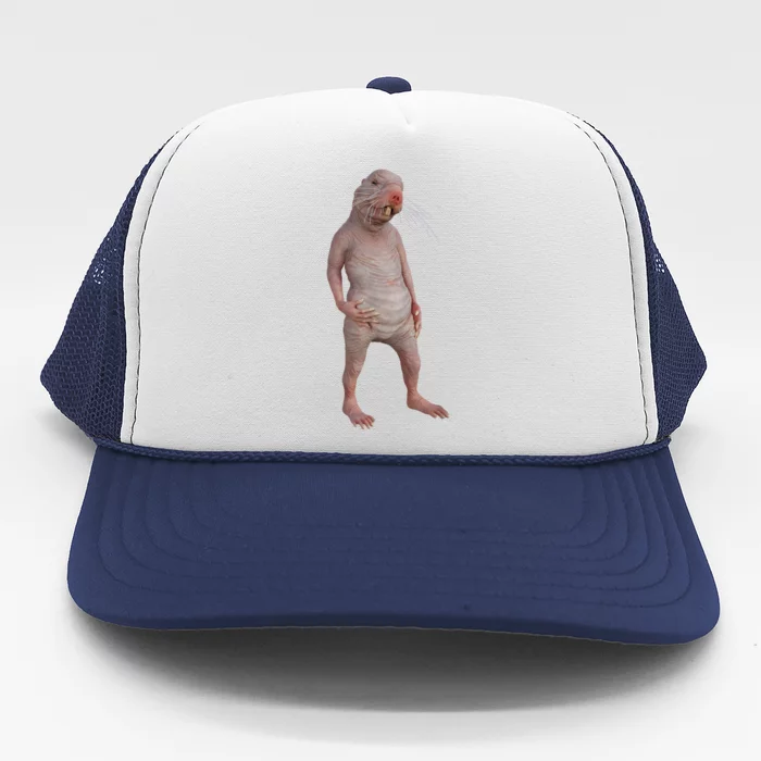 I Just Really Like Naked Moles Ok Funny Naked Mole Rat Trucker Hat