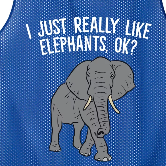 I Just Really Like Elephants Ok? Love Elephants Gift Mesh Reversible Basketball Jersey Tank