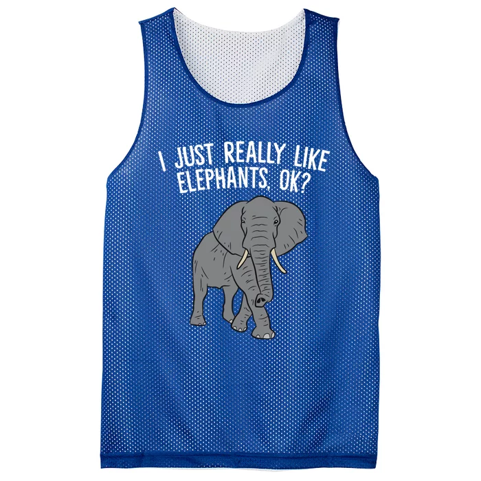 I Just Really Like Elephants Ok? Love Elephants Gift Mesh Reversible Basketball Jersey Tank