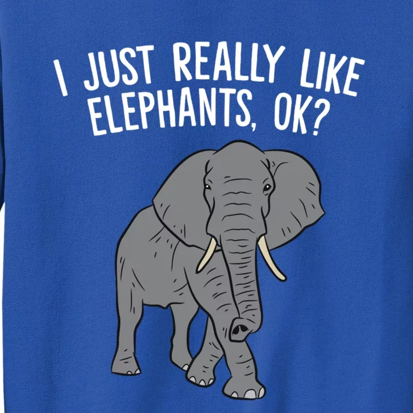 I Just Really Like Elephants Ok? Love Elephants Gift Tall Sweatshirt